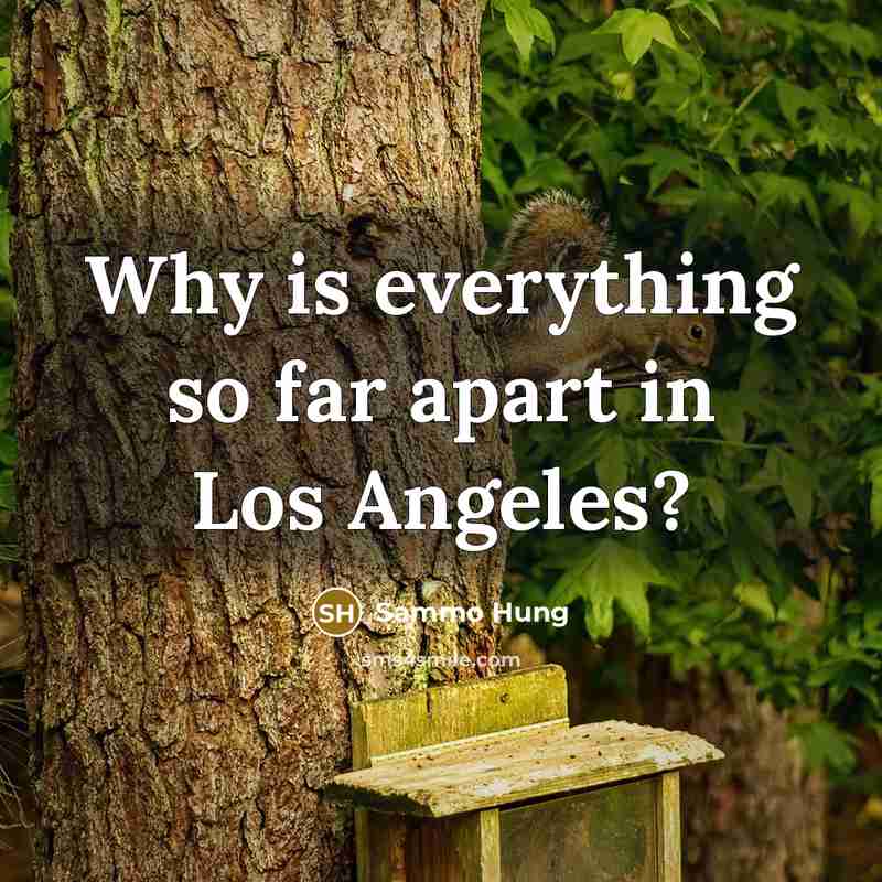 “Why is everything so far apart in Los Angeles?” quote by Sammo Hung