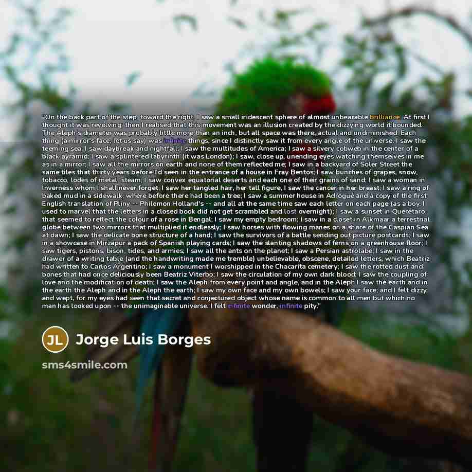 “On the back part of the step, toward the right, I saw a small iridescent sphere of almost unbearable brilliance. At first I thought it was revolving; then I realised that this movement was an illusion created by the dizzying world it bounded. The Aleph's diameter was probably little more than an…” quote by Jorge Luis Borges