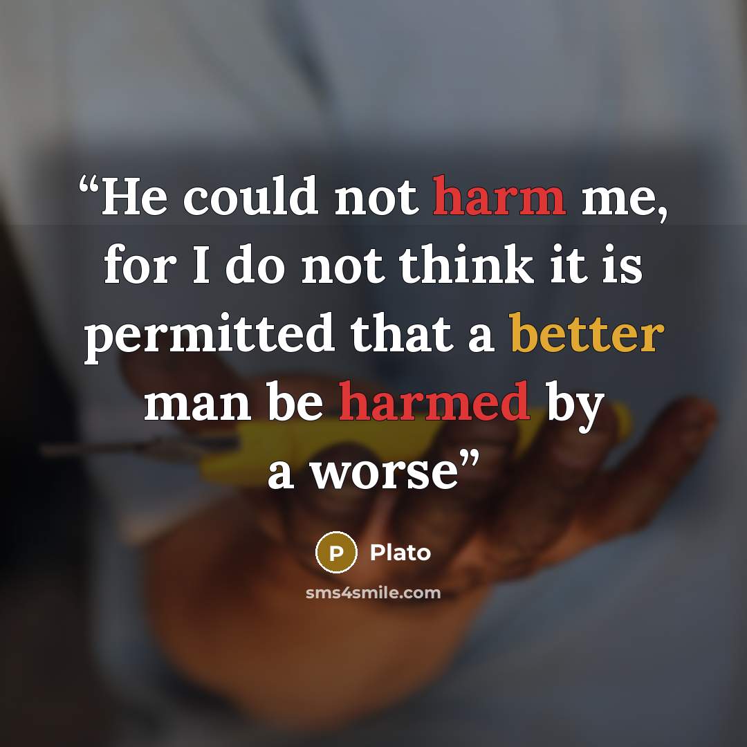 “He could not harm me, for I do not think it is permitted that a better man be harmed by a worse” quote by Plato