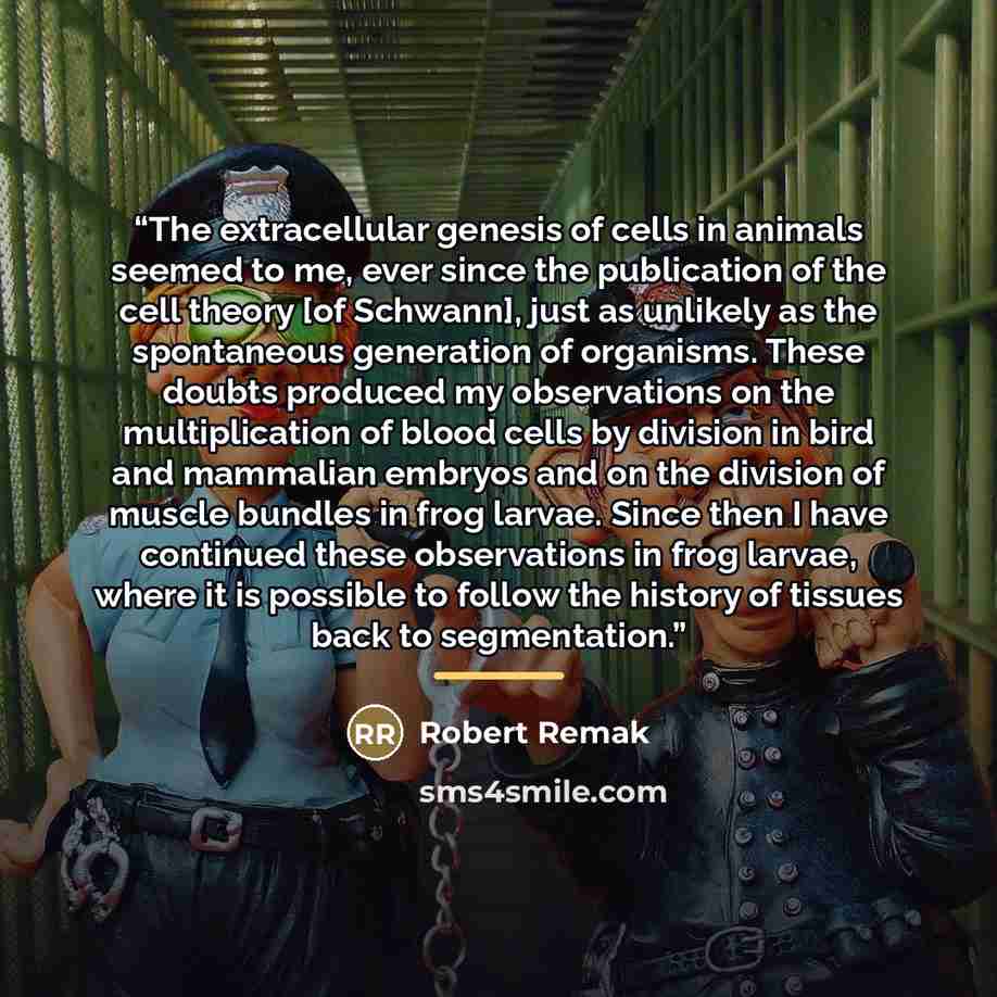 “The extracellular genesis of cells in animals seemed to me, ever since the publication of the cell theory [of Schwann], just as unlikely as the spontaneous generation of organisms. These doubts produced my observations on the multiplication of blood cells by division in bird and mammalian embryos…” quote by Robert Remak