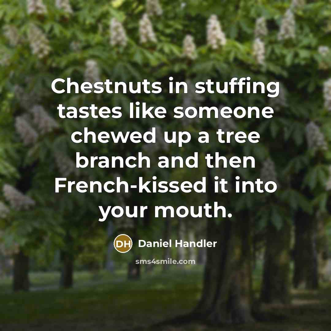 “Chestnuts in stuffing tastes like someone chewed up a tree branch and then French-kissed it into your mouth.” quote by Daniel Handler