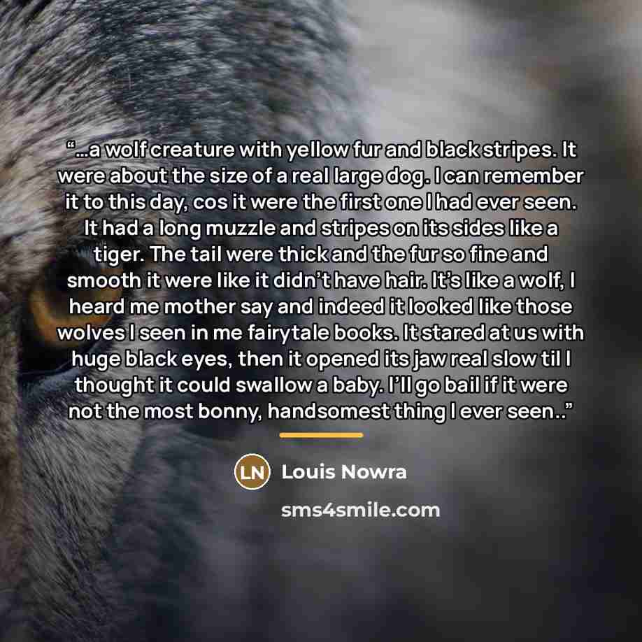 “…a wolf creature with yellow fur and black stripes. It were about the size of a real large dog. I can remember it to this day, cos it were the first one I had ever seen. It had a long muzzle and stripes on its sides like a tiger. The tail were thick and the fur so fine and smooth it were like it…” quote by Louis Nowra