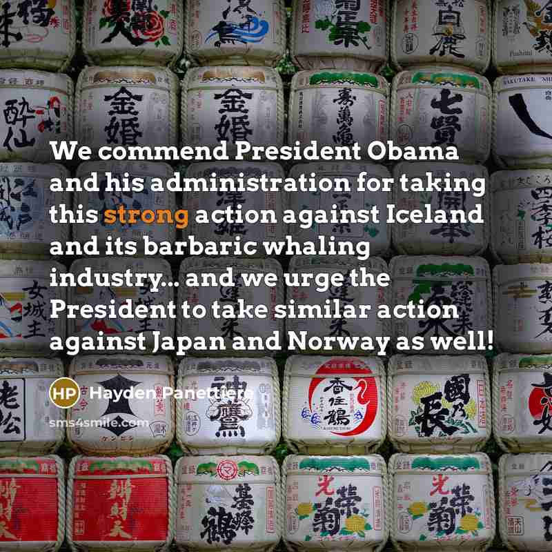 “We commend President Obama and his administration for taking this strong action against Iceland and its barbaric whaling industry... and we urge the President to take similar action against Japan and Norway as well!” quote by Hayden Panettiere