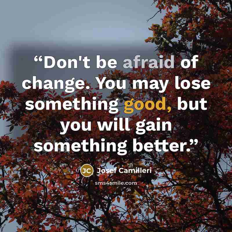 “Don't be afraid of change. You may lose something good, but you will gain something better.” quote by Josef Camilleri
