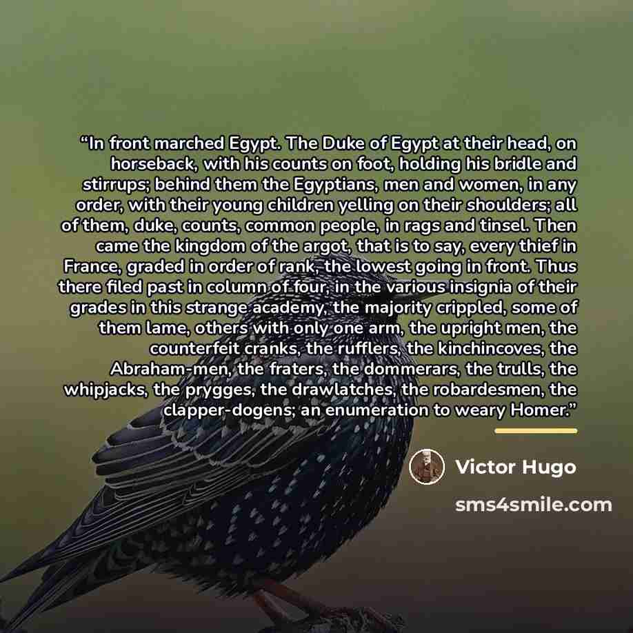 “In front marched Egypt. The Duke of Egypt at their head, on horseback, with his counts on foot, holding his bridle and stirrups; behind them the Egyptians, men and women, in any order, with their young children yelling on their shoulders; all of them, duke, counts, common people, in rags and…” quote by Victor Hugo