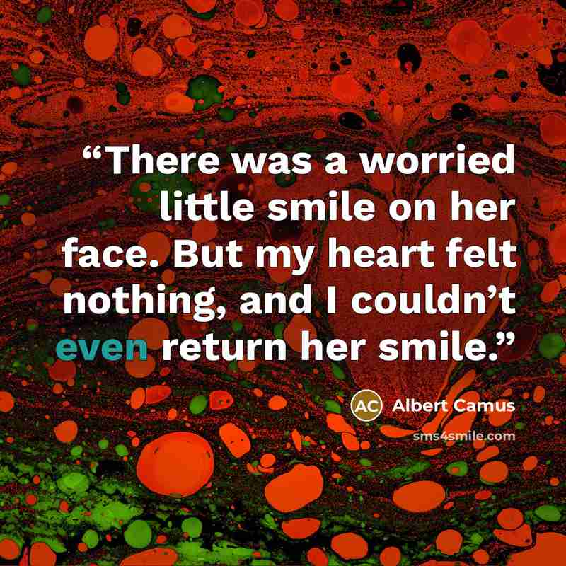 “There was a worried little smile on her face. But my heart felt nothing, and I couldn’t even return her smile.” quote by Albert Camus