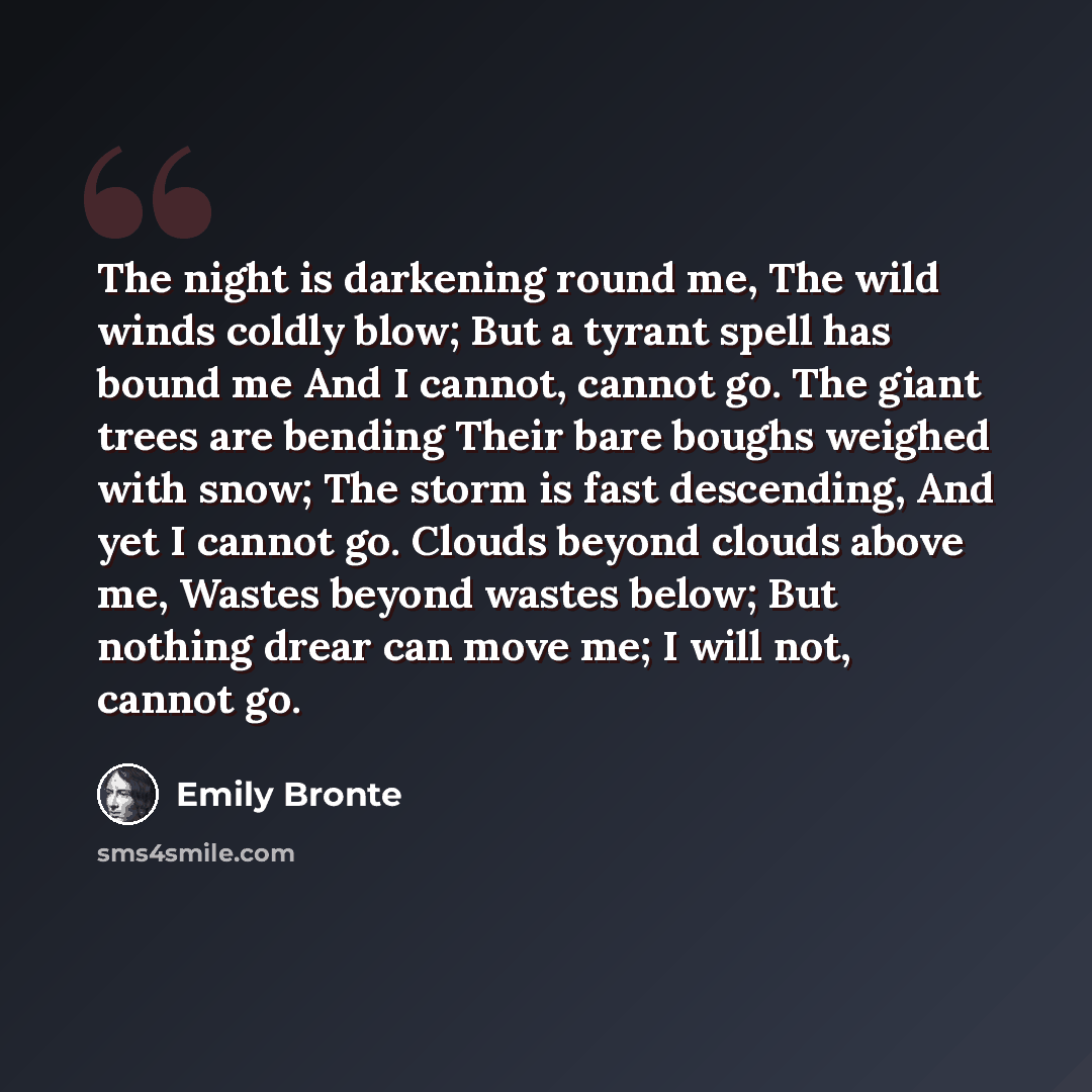“The night is darkening round me, The wild winds coldly blow; But a tyrant spell has bound me And I cannot, cannot go. The giant trees are bending Their bare boughs weighed with snow; The storm is fast descending, And yet I cannot go. Clouds beyond clouds above me, Wastes beyond wastes below; But…” quote by Emily Bronte