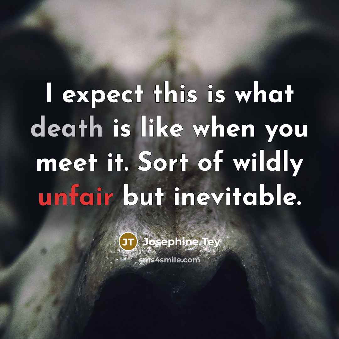 “I expect this is what death is like when you meet it. Sort of wildly unfair but inevitable.” quote by Josephine Tey