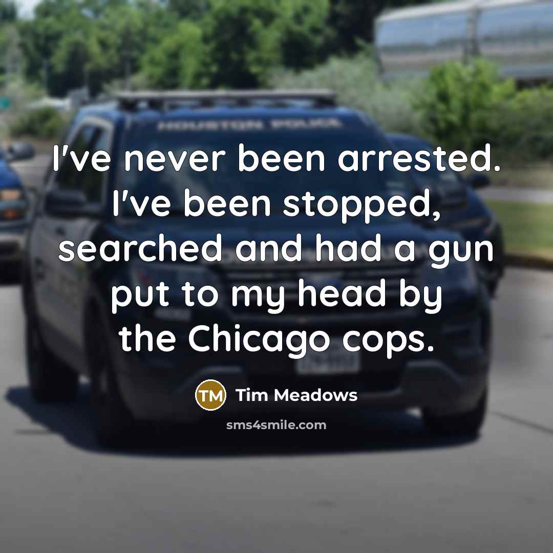 “I've never been arrested. I've been stopped, searched and had a gun put to my head by the Chicago cops.” quote by Tim Meadows