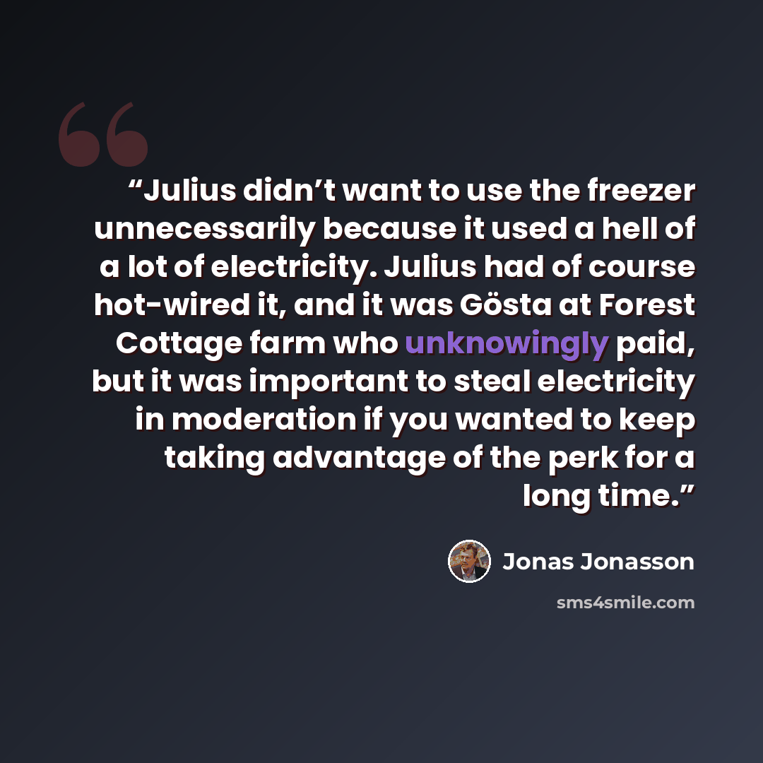 “Julius didn’t want to use the freezer unnecessarily because it used a hell of a lot of electricity. Julius had of course hot-wired it, and it was Gösta at Forest Cottage farm who unknowingly paid, but it was important to steal electricity in moderation if you wanted to keep taking advantage of the…” quote by Jonas Jonasson