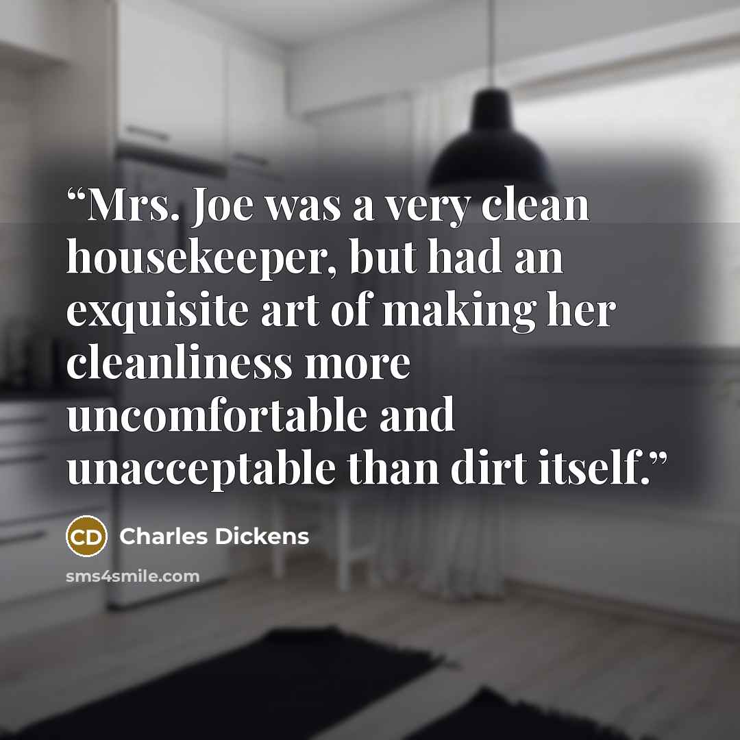 “Mrs. Joe was a very clean housekeeper, but had an exquisite art of making her cleanliness more uncomfortable and unacceptable than dirt itself.” quote by Charles Dickens