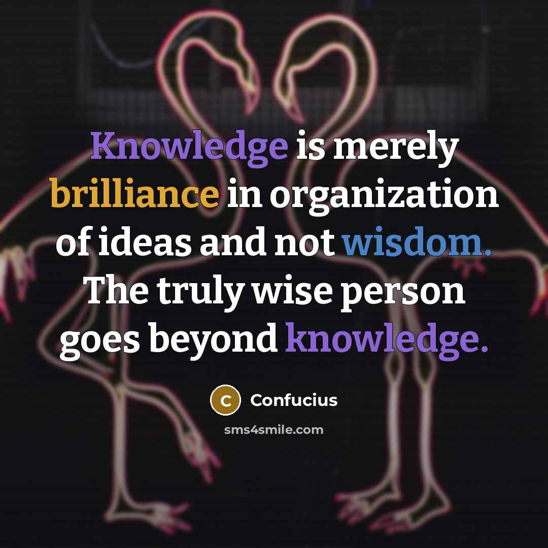 “Knowledge is merely brilliance in organization of ideas and not wisdom. The truly wise person goes beyond knowledge.” quote by Confucius