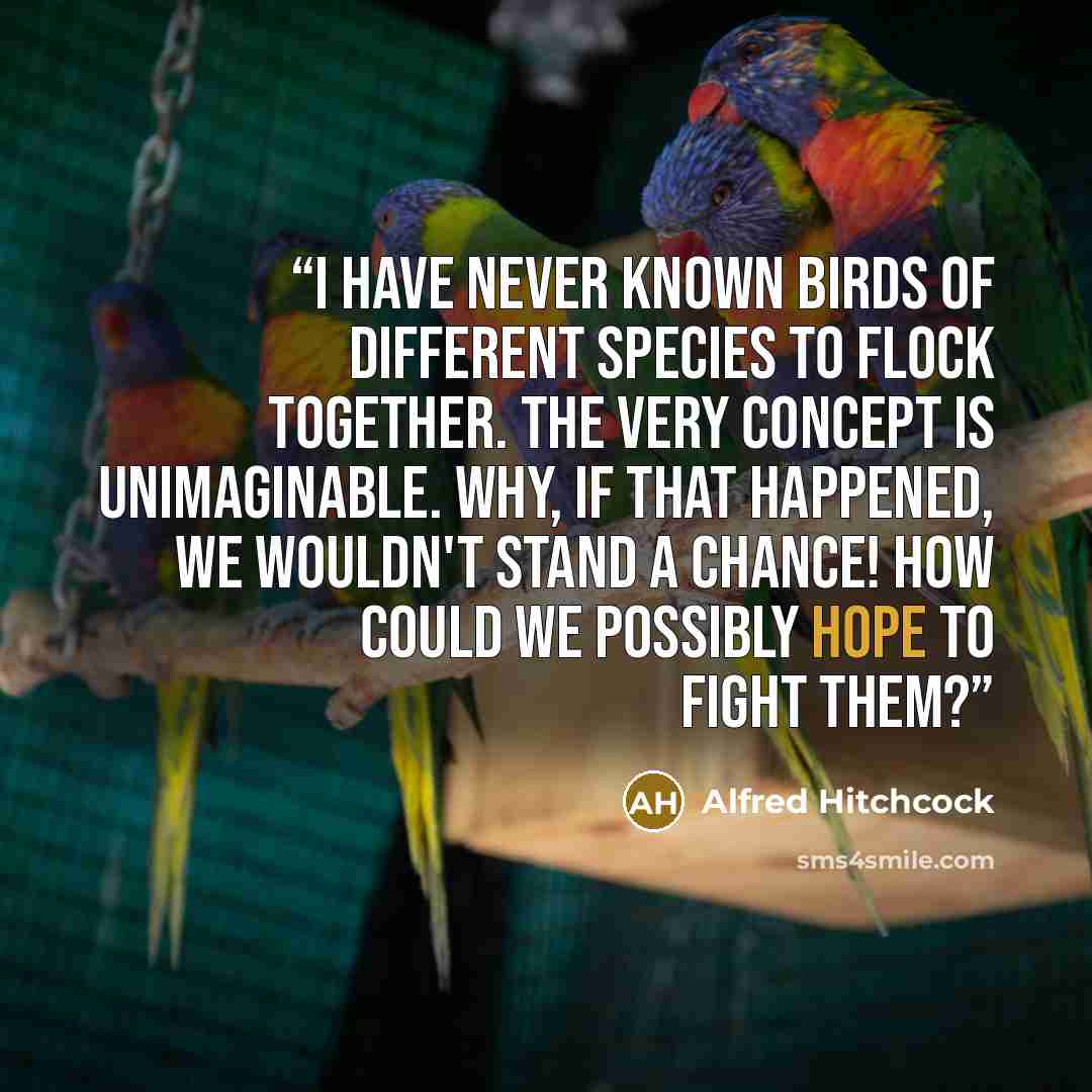 “I have never known birds of different species to flock together. The very concept is unimaginable. Why, if that happened, we wouldn't stand a chance! How could we possibly hope to fight them?” quote by Alfred Hitchcock