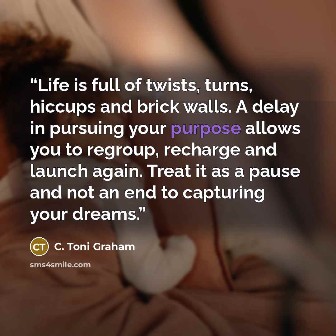 “Life is full of twists, turns, hiccups and brick walls. A delay in pursuing your purpose allows you to regroup, recharge and launch again. Treat it as a pause and not an end to capturing your dreams.” quote by C. Toni Graham