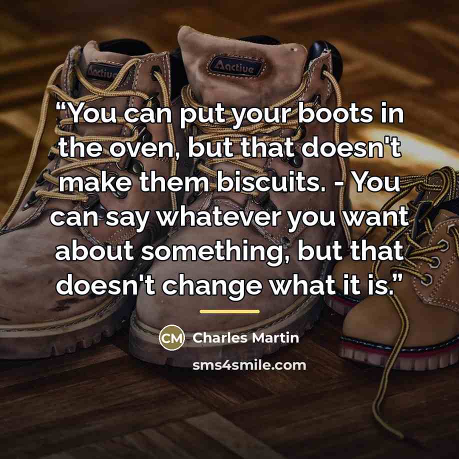 “You can put your boots in the oven, but that doesn't make them biscuits. - You can say whatever you want about something, but that doesn't change what it is.” quote by Charles Martin