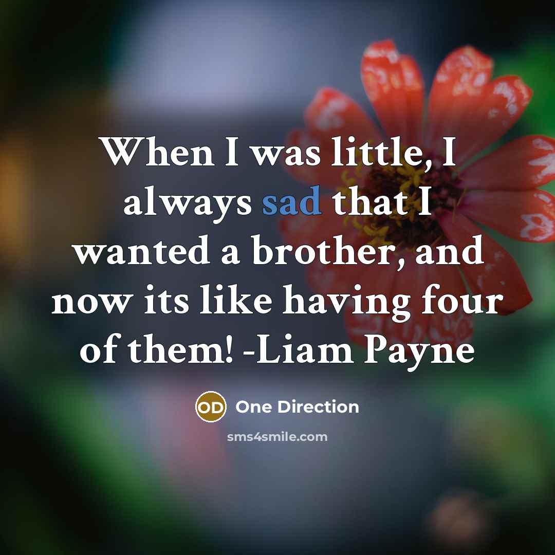 “When I was little, I always sad that I wanted a brother, and now its like having four of them! -Liam Payne” quote by One Direction