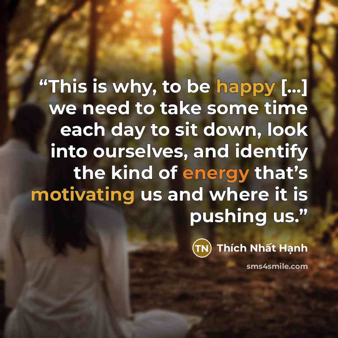“This is why, to be happy [...] we need to take some time each day to sit down, look into ourselves, and identify the kind of energy that’s motivating us and where it is pushing us.” quote by Thich Nhat Hanh