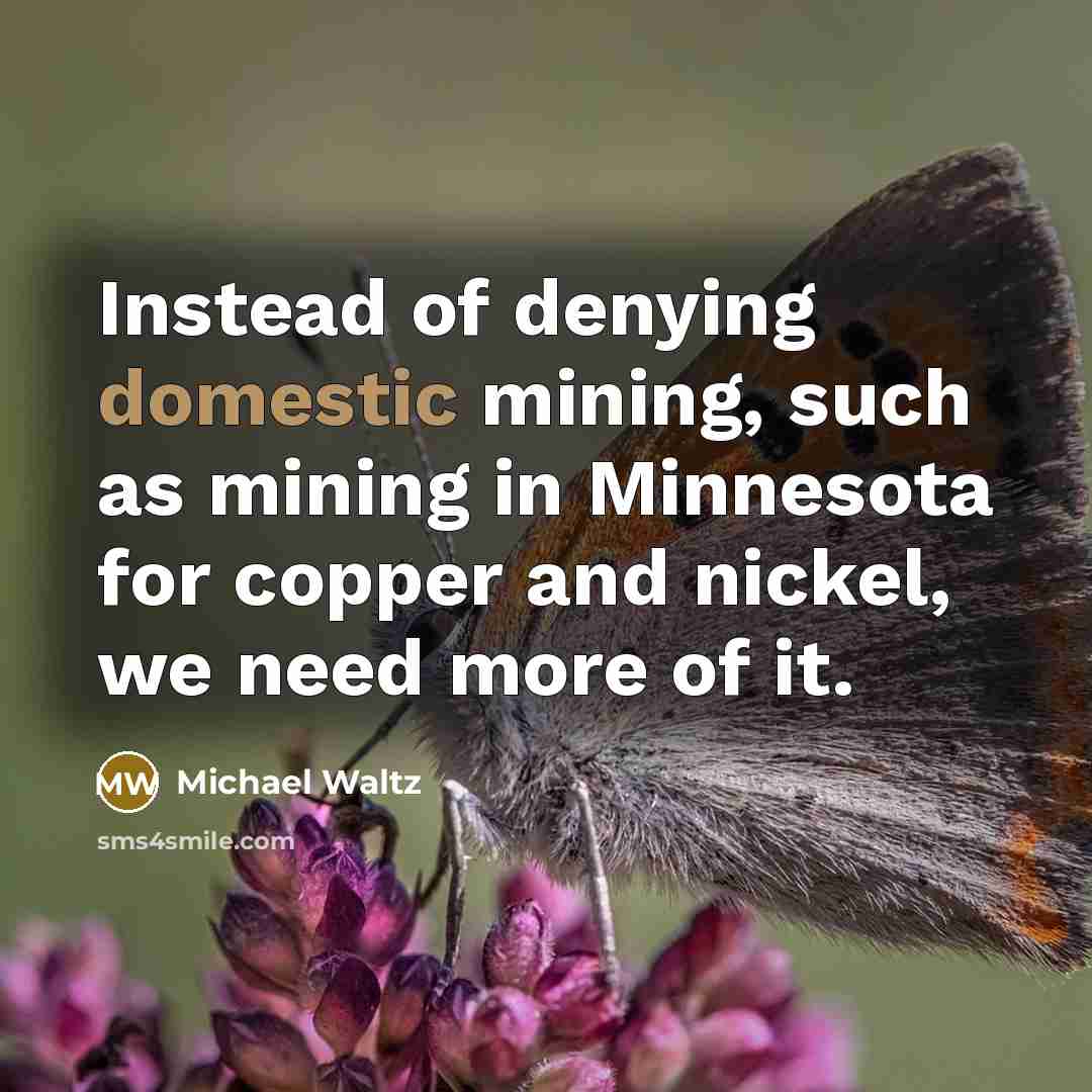 “Instead of denying domestic mining, such as mining in Minnesota for copper and nickel, we need more of it.” quote by Michael Waltz