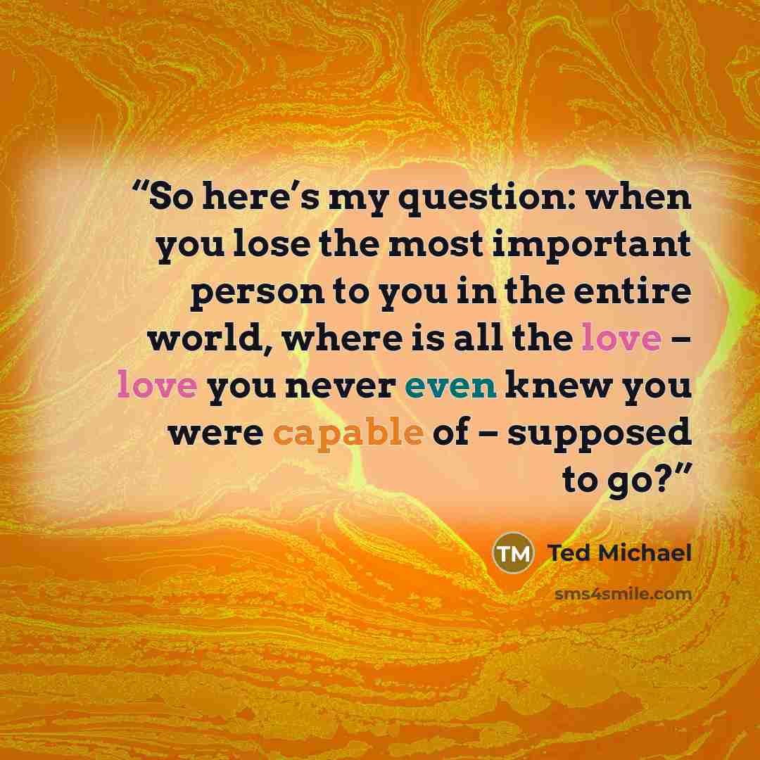 “So here’s my question: when you lose the most important person to you in the entire world, where is all the love – love you never even knew you were capable of – supposed to go?” quote by Ted Michael