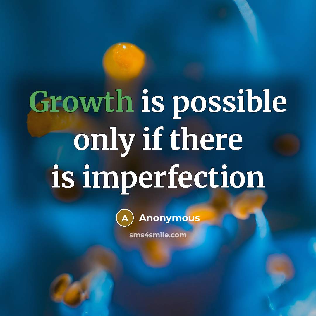 “Growth is possible only if there is imperfection” quote by Anonymous
