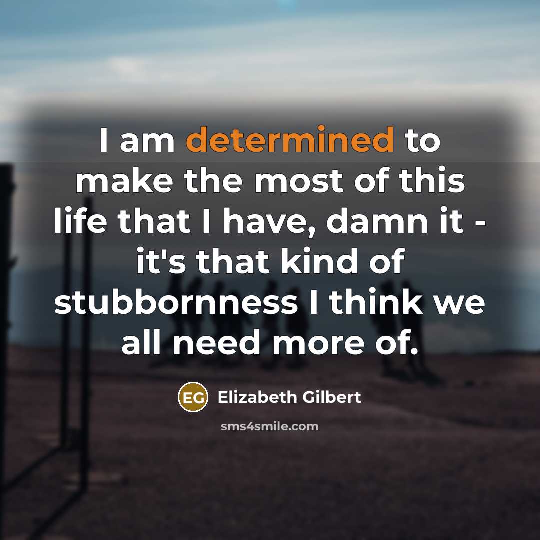 “I am determined to make the most of this life that I have, damn it - it's that kind of stubbornness I think we all need more of.” quote by Elizabeth Gilbert