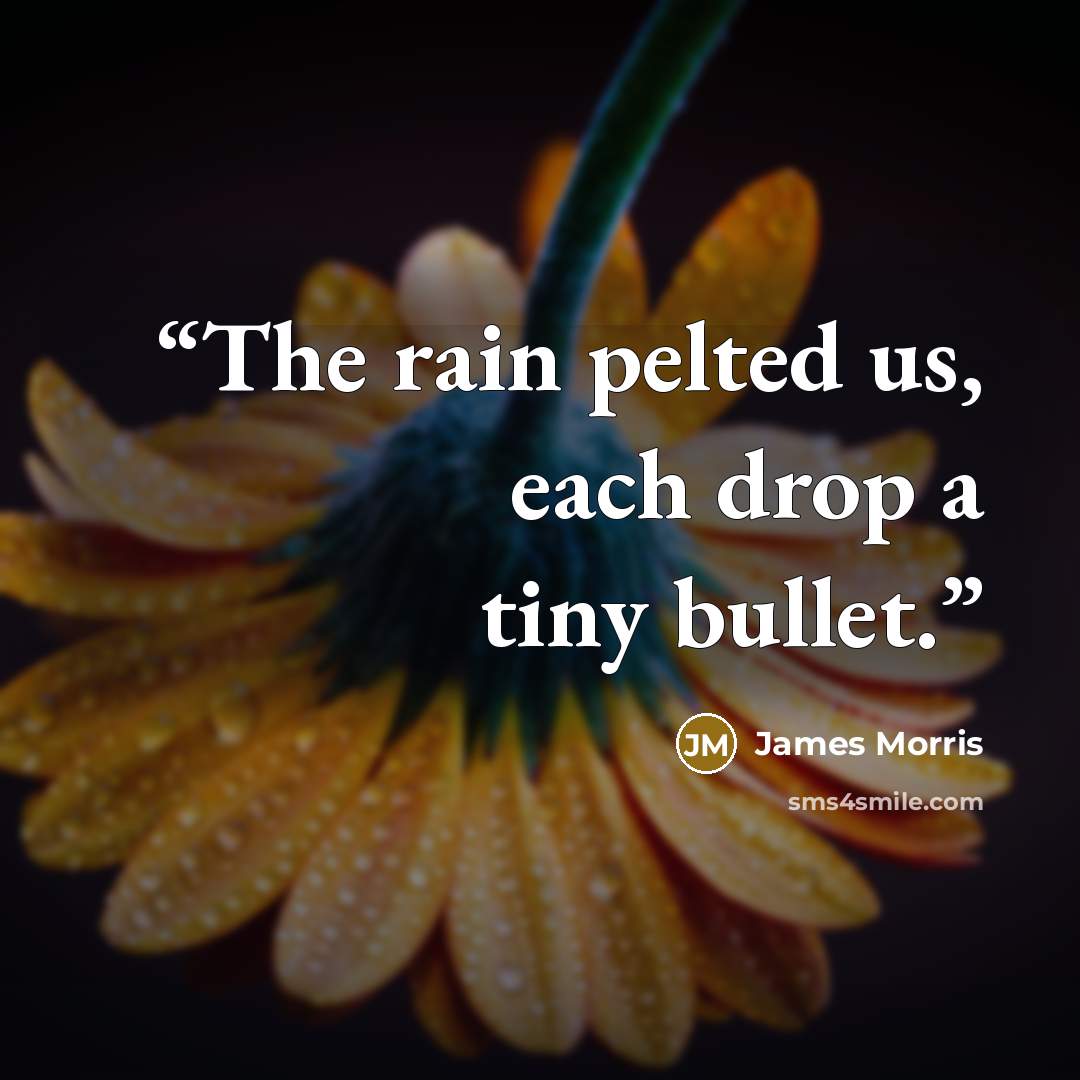 “The rain pelted us, each drop a tiny bullet.” quote by James Morris