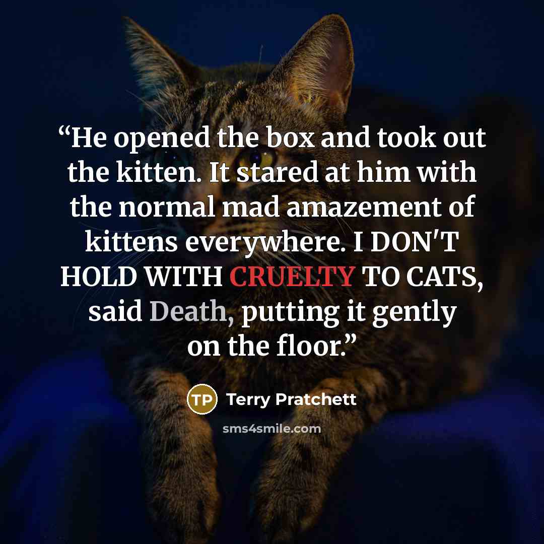 “He opened the box and took out the kitten. It stared at him with the normal mad amazement of kittens everywhere. I DON'T HOLD WITH CRUELTY TO CATS, said Death, putting it gently on the floor.” quote by Terry Pratchett