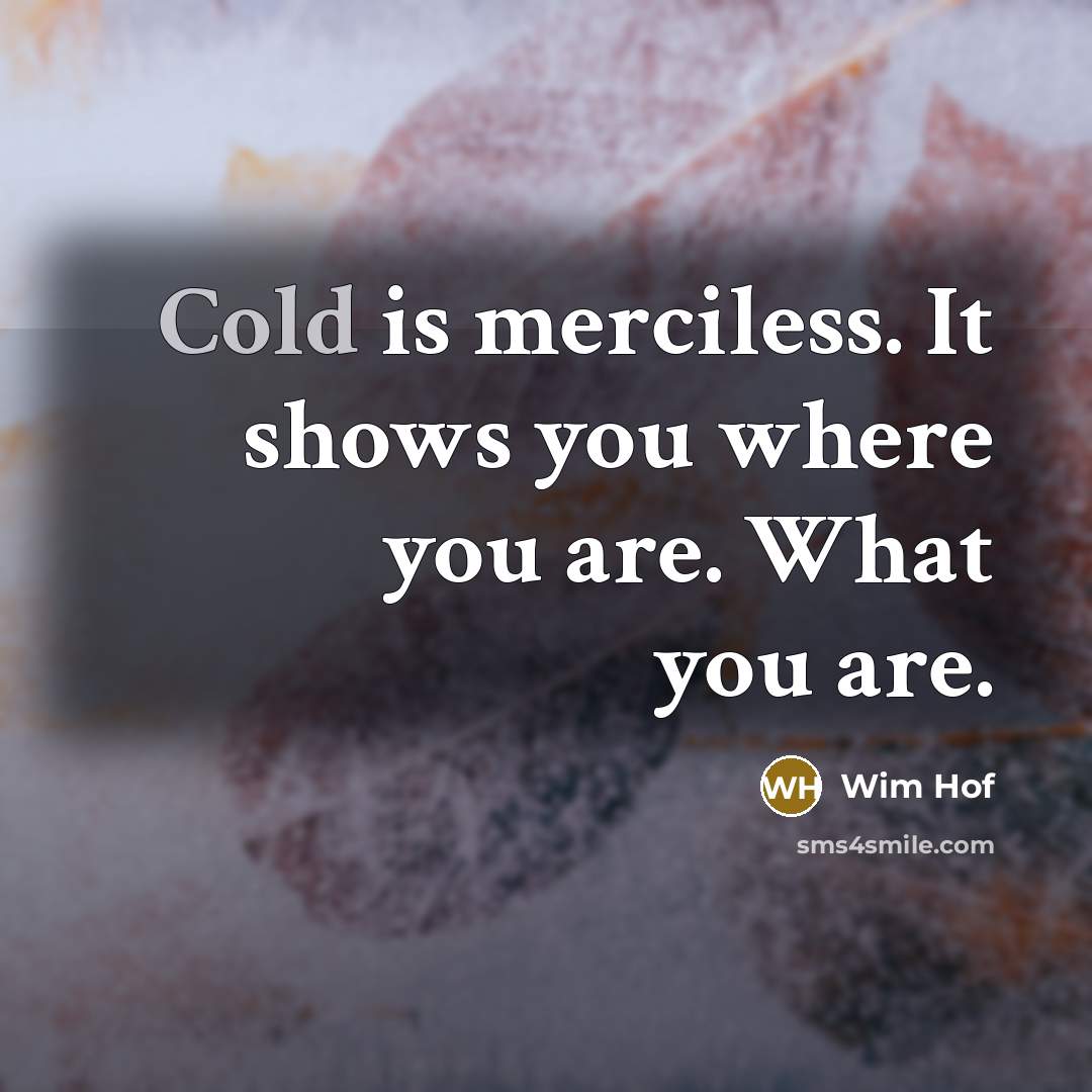 “Cold is merciless. It shows you where you are. What you are.” quote by Wim Hof