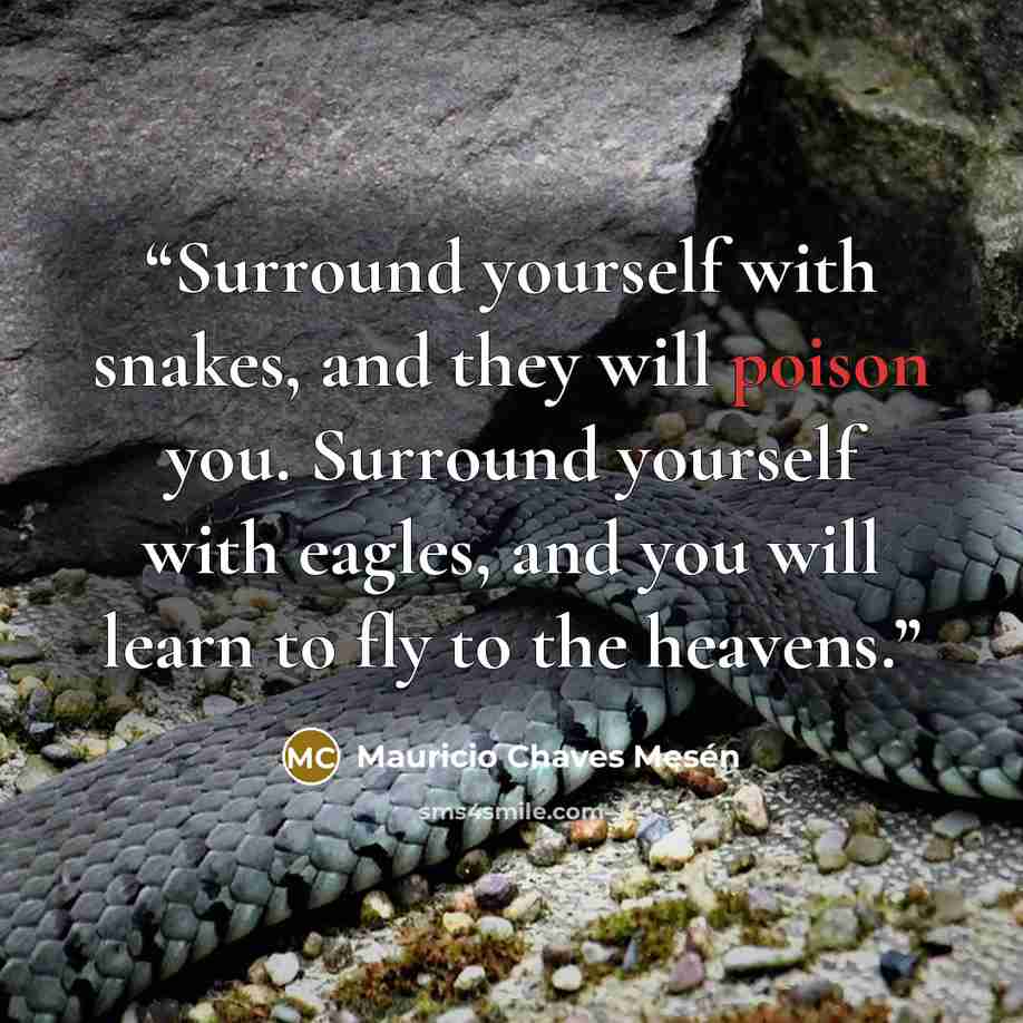 “Surround yourself with snakes, and they will poison you. Surround yourself with eagles, and you will learn to fly to the heavens.” quote by Mauricio Chaves Mesén