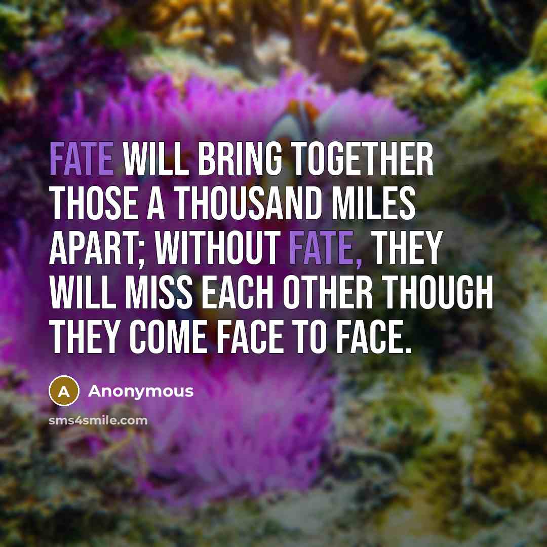 “Fate will bring together those a thousand miles apart; without fate, they will miss each other though they come face to face.” quote by Anonymous