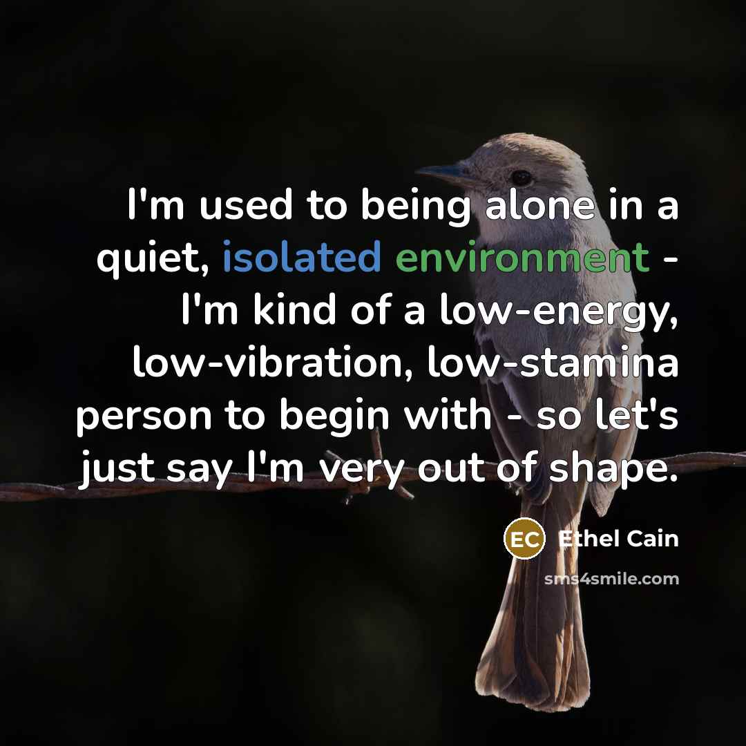 “I'm used to being alone in a quiet, isolated environment - I'm kind of a low-energy, low-vibration, low-stamina person to begin with - so let's just say I'm very out of shape.” quote by Ethel Cain