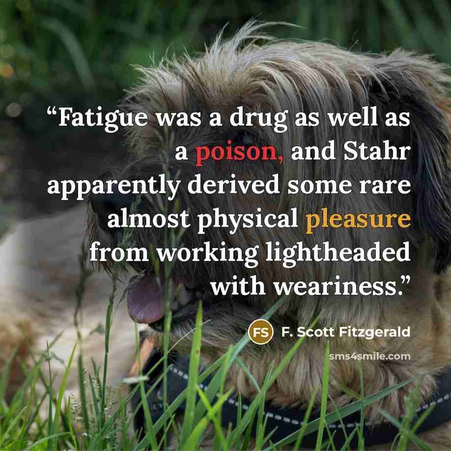 “Fatigue was a drug as well as a poison, and Stahr apparently derived some rare almost physical pleasure from working lightheaded with weariness.” quote by F. Scott Fitzgerald