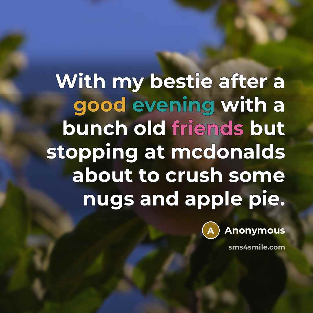 “With my bestie after a good evening with a bunch old friends but stopping at mcdonalds about to crush some nugs and apple pie.” quote by Anonymous