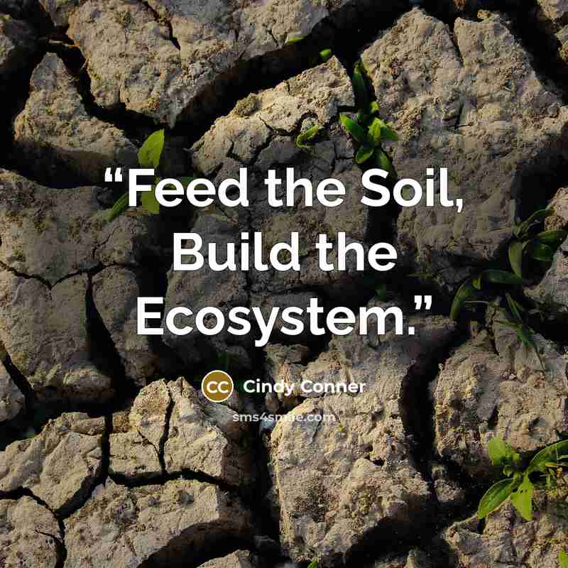 “Feed the Soil, Build the Ecosystem.” quote by Cindy Conner