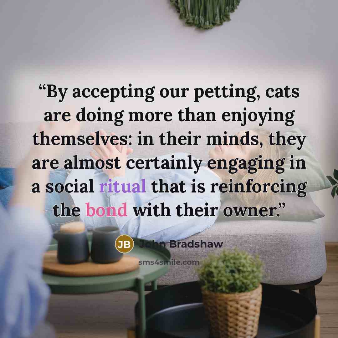 “By accepting our petting, cats are doing more than enjoying themselves: in their minds, they are almost certainly engaging in a social ritual that is reinforcing the bond with their owner.” quote by John Bradshaw