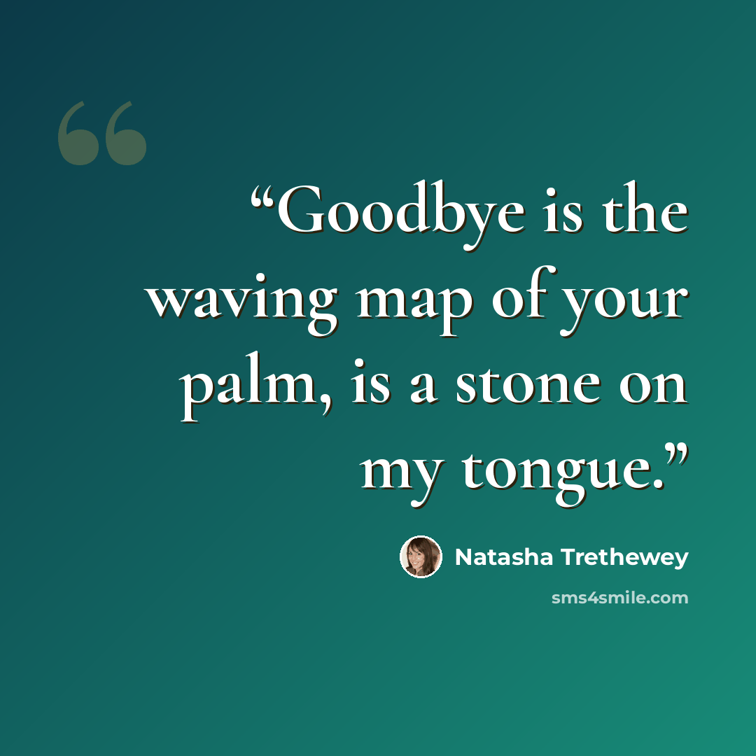 “Goodbye is the waving map of your palm, is a stone on my tongue.” quote by Natasha Trethewey