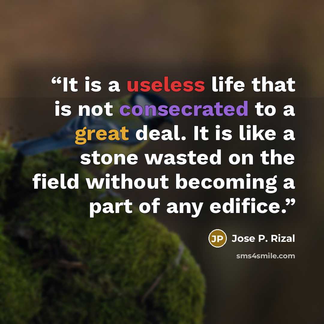“It is a useless life that is not consecrated to a great deal. It is like a stone wasted on the field without becoming a part of any edifice.” quote by Jose P. Rizal