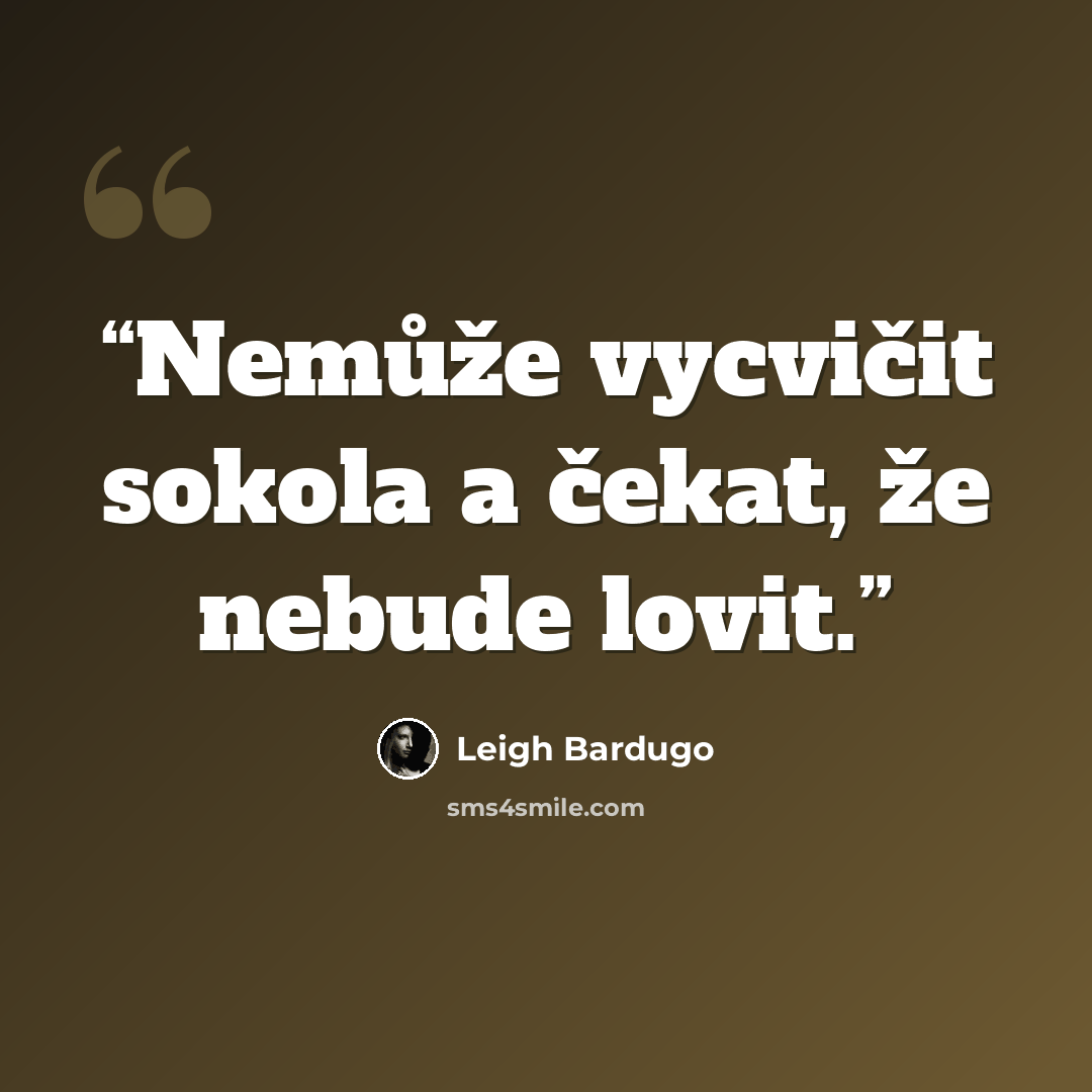 “Nemůže vycvičit sokola a čekat, že nebude lovit.” quote by Leigh Bardugo