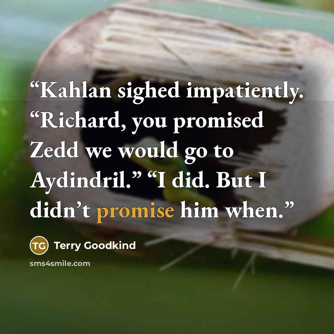 “Kahlan sighed impatiently. “Richard, you promised Zedd we would go to Aydindril.” “I did. But I didn’t promise him when.” quote by Terry Goodkind