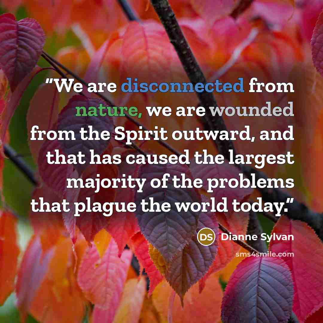 “We are disconnected from nature, we are wounded from the Spirit outward, and that has caused the largest majority of the problems that plague the world today.” quote by Dianne Sylvan
