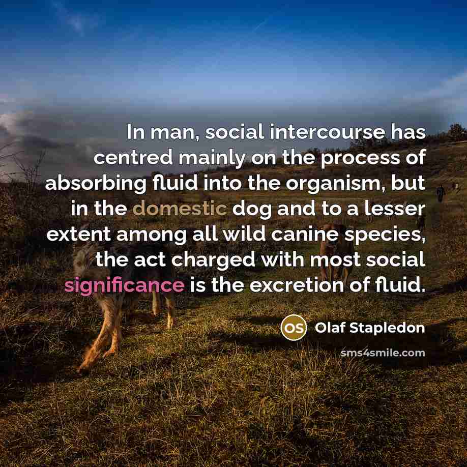 “In man, social intercourse has centred mainly on the process of absorbing fluid into the organism, but in the domestic dog and to a lesser extent among all wild canine species, the act charged with most social significance is the excretion of fluid.” quote by Olaf Stapledon