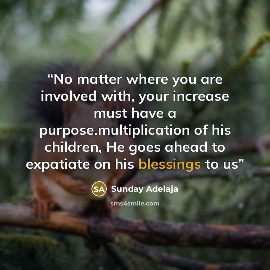“No matter where you are involved with, your increase must have a purpose.multiplication of his children, He goes ahead to expatiate on his blessings to us” quote by Sunday Adelaja