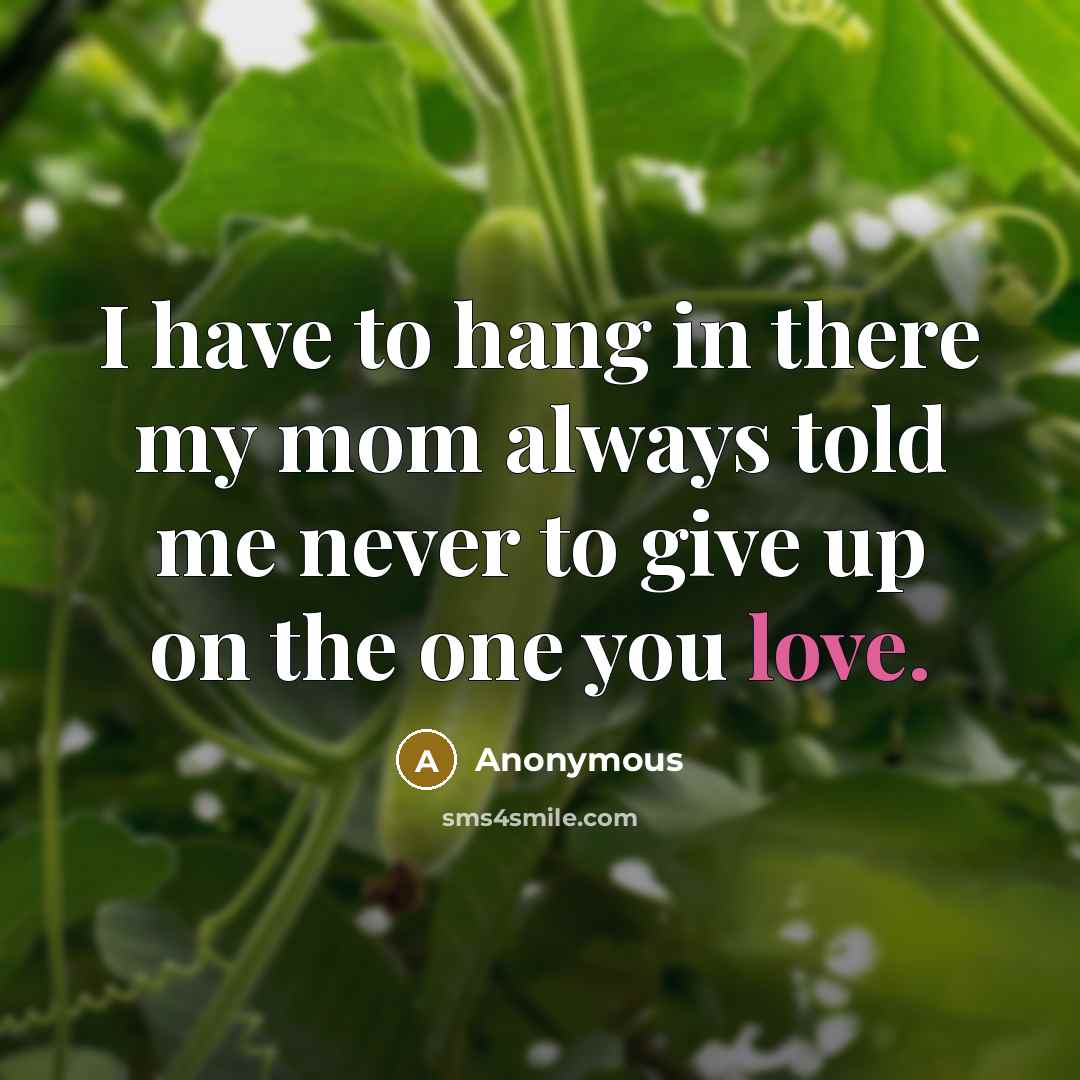 “I have to hang in there my mom always told me never to give up on the one you love.” quote by Anonymous