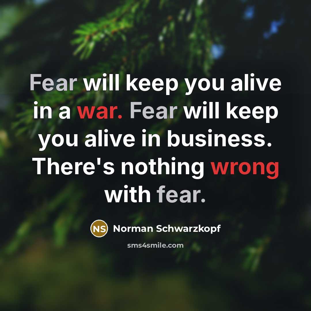 “Fear will keep you alive in a war. Fear will keep you alive in business. There's nothing wrong with fear.” quote by Norman Schwarzkopf