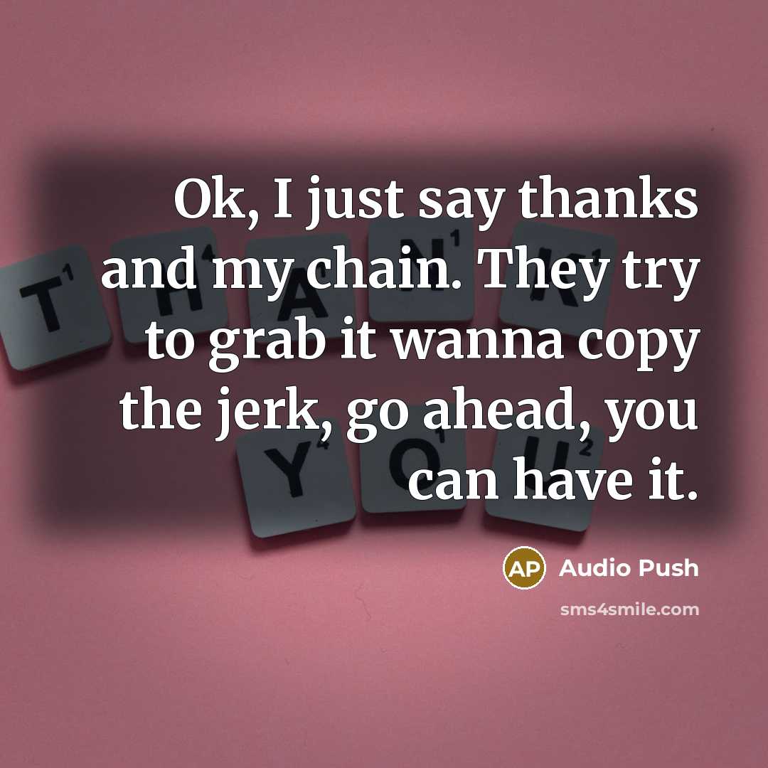 “Ok, I just say thanks and my chain. They try to grab it wanna copy the jerk, go ahead, you can have it.” quote by Audio Push