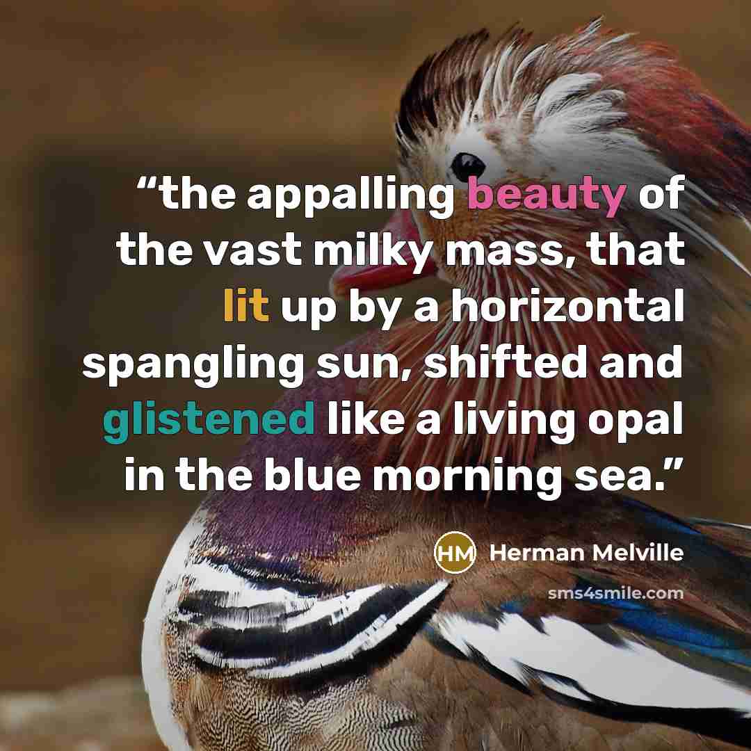 “the appalling beauty of the vast milky mass, that lit up by a horizontal spangling sun, shifted and glistened like a living opal in the blue morning sea.” quote by Herman Melville