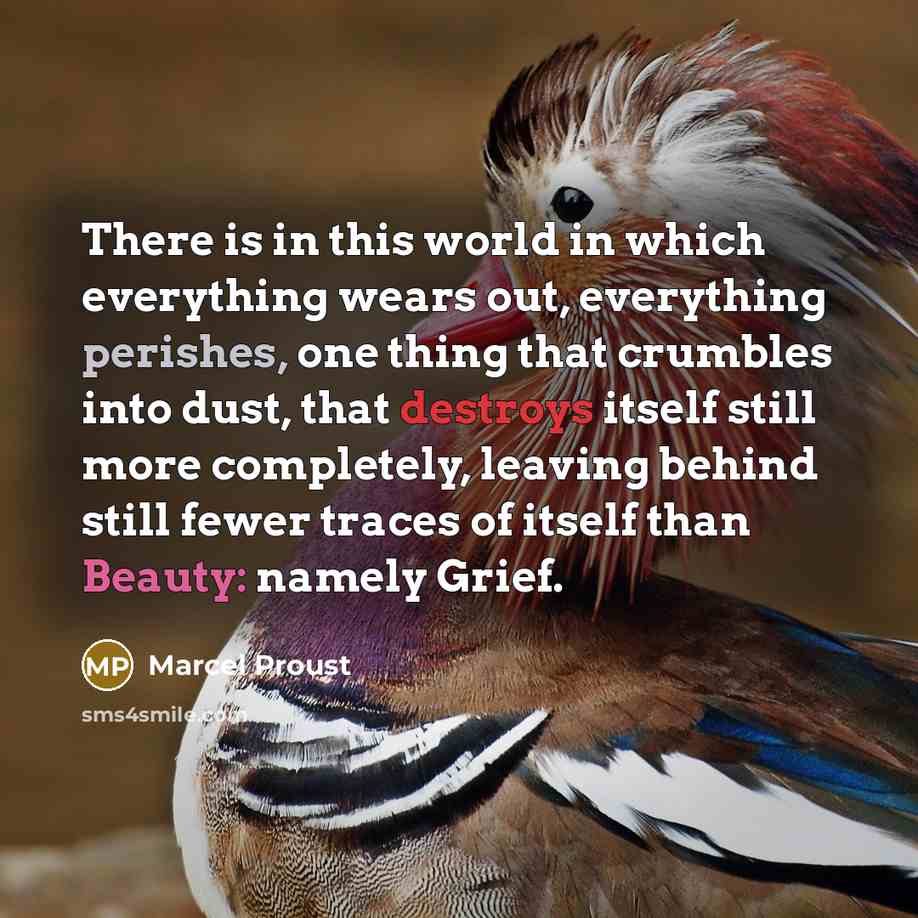 “There is in this world in which everything wears out, everything perishes, one thing that crumbles into dust, that destroys itself still more completely, leaving behind still fewer traces of itself than Beauty: namely Grief.” quote by Marcel Proust