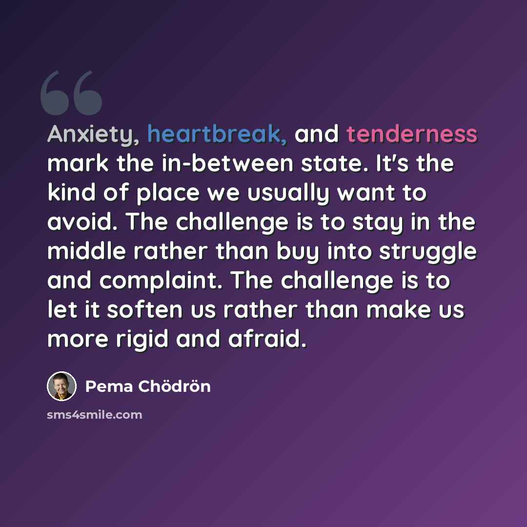 “Anxiety, heartbreak, and tenderness mark the in-between state. It's the kind of place we usually want to avoid. The challenge is to stay in the middle rather than buy into struggle and complaint. The challenge is to let it soften us rather than make us more rigid and afraid.” quote by Pema Chodron
