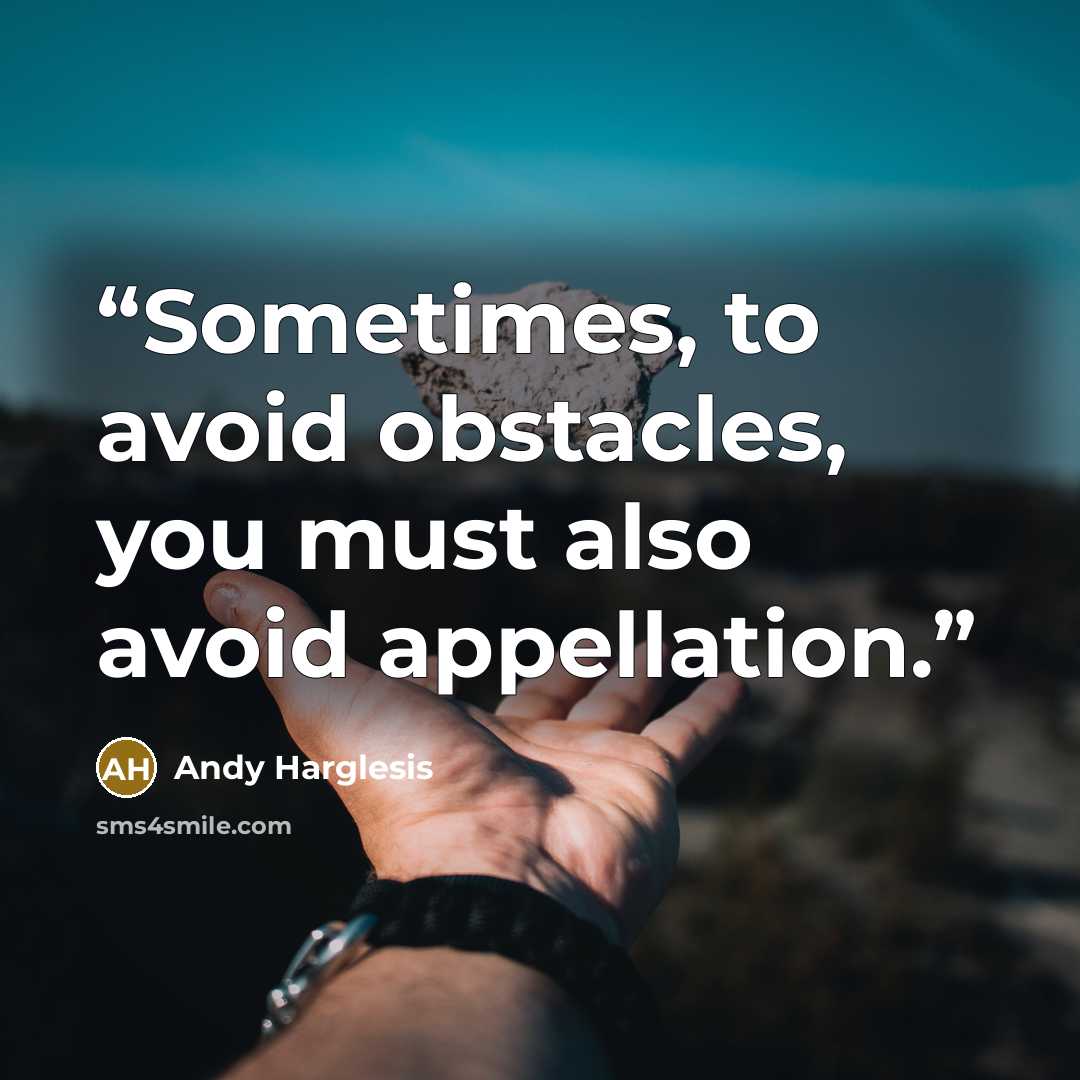 “Sometimes, to avoid obstacles, you must also avoid appellation.” quote by Andy Harglesis