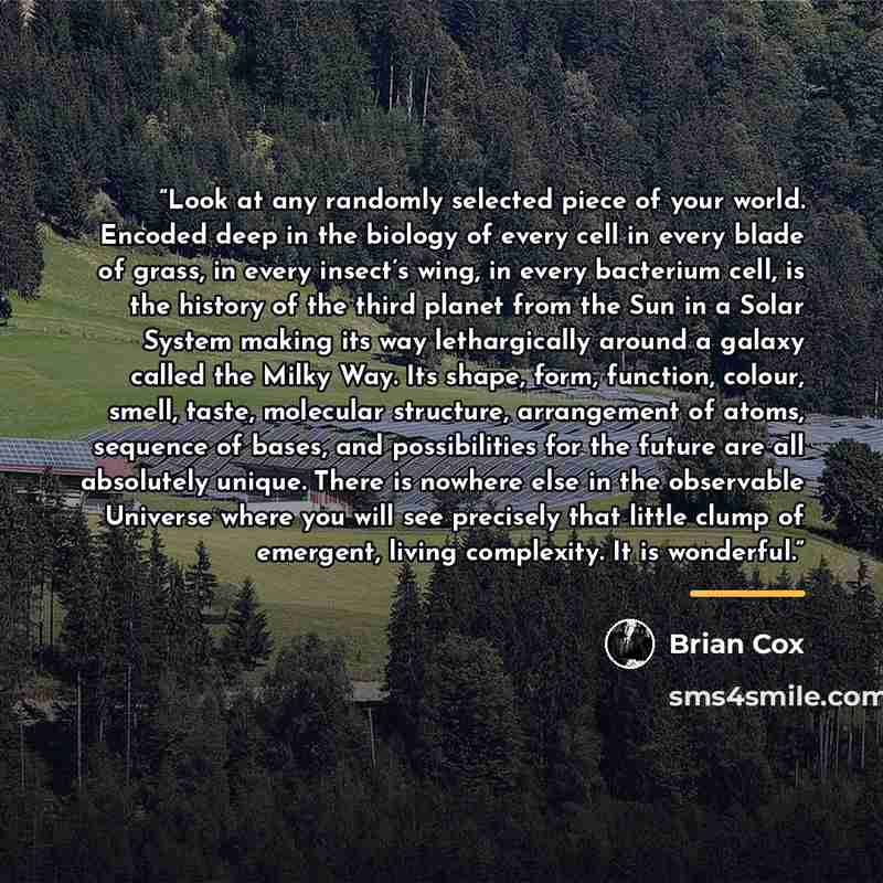 “Look at any randomly selected piece of your world. Encoded deep in the biology of every cell in every blade of grass, in every insect’s wing, in every bacterium cell, is the history of the third planet from the Sun in a Solar System making its way lethargically around a galaxy called the Milky…” quote by Brian Cox